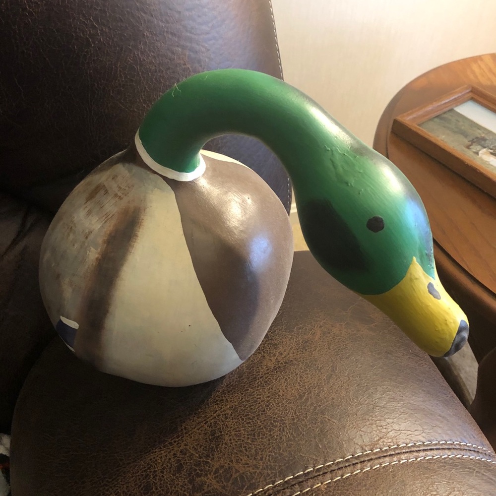 Duck